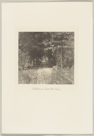 Bois de sapins près de Leith Hill, Surrey - Frederick H. Evans