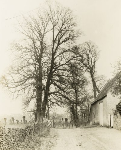 Manoir de Kelmscott : Route et entrée - Frederick H. Evans