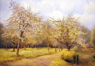 Arbres en fleurs - Frederick Henry Evans