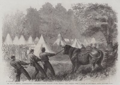 La Guerre en Amérique, Département du Quartier-Maître, abattage de bœufs dans le camp fédéral, Virginie - Frederick John Skill