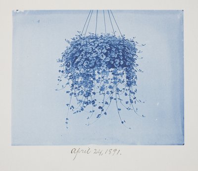 Sans titre, 24 avril - Frederick K. Coulson