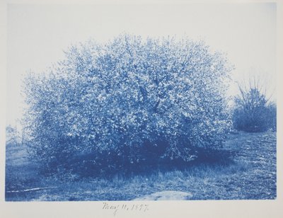 Sans titre, 11 mai - Frederick K. Coulson