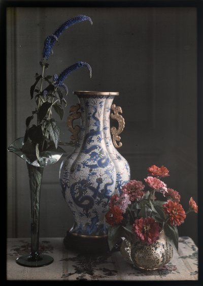 Nature morte avec vase chinois orné - Frederick S. Dellenbaugh
