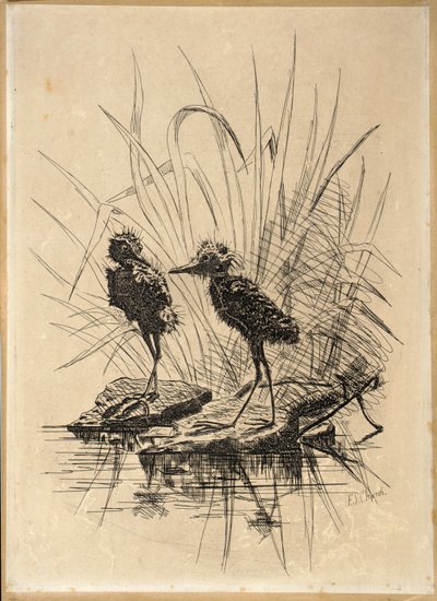 Deux oiseaux - Frederick Stuart Church