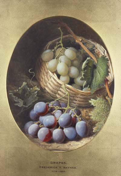 Raisins rouges et blancs - Frederick Thomas Baynes
