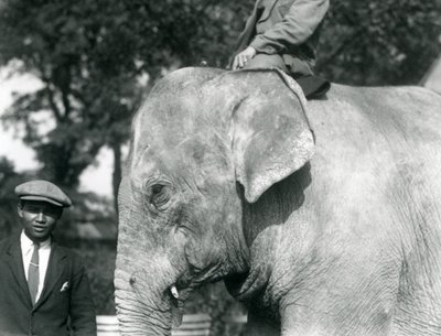 Un éléphant birman avec son dresseur et un autre homme, zoo de Londres, septembre 1926 - Frederick William Bond