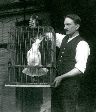 Un gardien tient un cacatoès à huppe jaune, Jade, dans sa cage au Zoo de Londres en octobre 1924 - Frederick William Bond