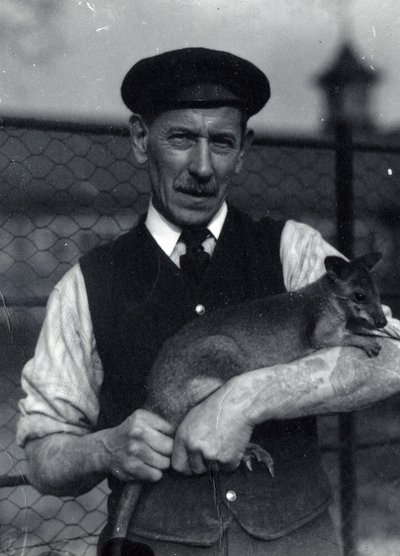 Un gardien tient un wallaby, octobre 1920 - Frederick William Bond