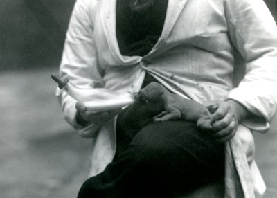 Un lionceau nouveau-né nourri au biberon par son gardien, Zoo de Londres, 1923 - Frederick William Bond