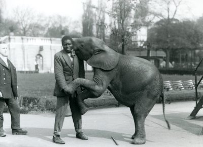 Un jeune éléphant pygmée africain se dresse sur ses pattes arrière pour embrasser son dresseur africain, tandis que le gardien regarde, Zoo de Londres, juillet 1925 - Frederick William Bond