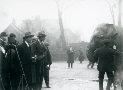 Un éléphant indien, peut-être Sundermalah, participant à une émission en extérieur du Zoo de Londres, 1925 - Frederick William Bond