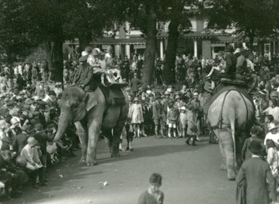 Balades à dos d