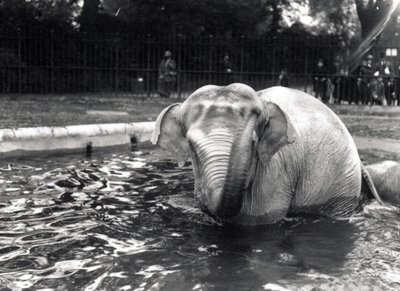 Bain d