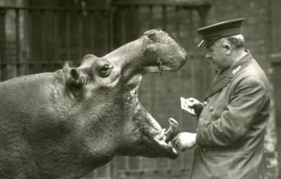 Hippopotame Bobbie avec le gardien Ernie Bowman, Zoo de Londres, 1927 - Frederick William Bond