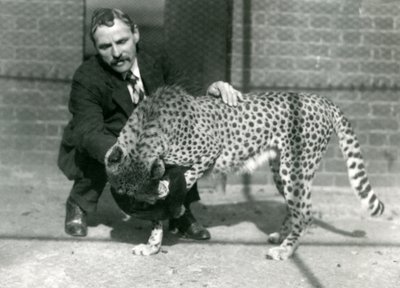 Le gardien Charles Dixon avec un guépard joueur au zoo de Londres, octobre 1922 - Frederick William Bond