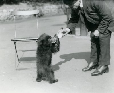 Le gardien Harry Warwick nourrit au biberon un ourson paresseux au zoo de Londres, août 1921 - Frederick William Bond