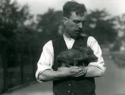 Le gardien Harry Warwick berçant un bébé phacochère dans ses bras au zoo de Londres, août 1922 - Frederick William Bond
