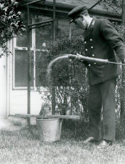 Le gardien Thomas Raggett donnant une douche à un Podarge gris, Zoo de Londres - Frederick William Bond
