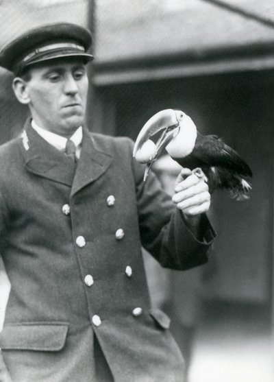 Gardien, Thomas Raggett, tenant un toucan à bec rouge avec un œuf dans la bouche au zoo de Londres en 1924 - Frederick William Bond