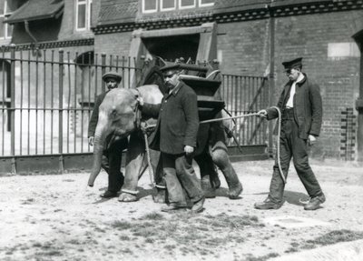 Les gardiens Jack Milbourne, H Robertson et Thomas entraînent un jeune éléphant asiatique, zoo de Londres, mai 1922 - Frederick William Bond