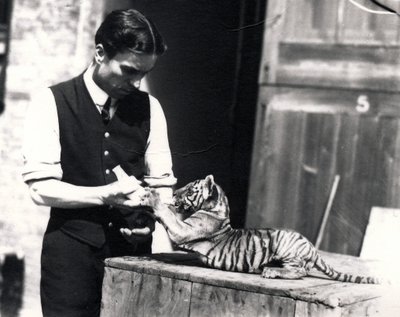 Tigreau nourri par le gardien Harry Warwick, 1914 - Frederick William Bond