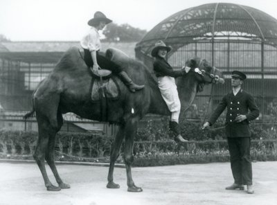Deux cowgirls posent sur un chameau de Bactriane, tenu par son gardien, lors d