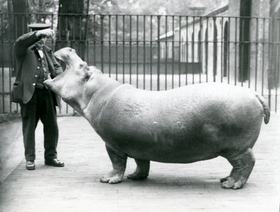 Jeune hippopotame Bobbie avec le gardien Ernie Bowman, Zoo de Londres, juillet 1923 - Frederick William Bond