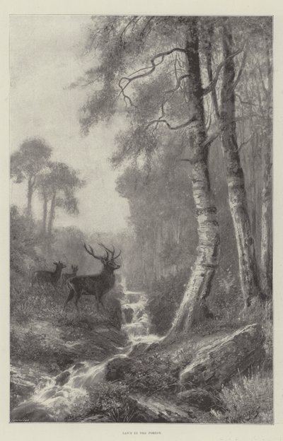 Aube dans la forêt - Frederick William Hayes