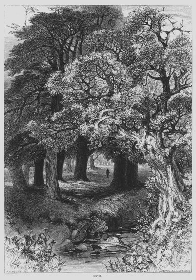 John Milton, Il Penseroso - Frederick William Hulme