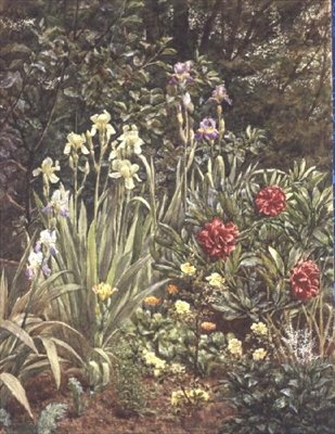 Un coin du jardin - Frederick William Jackson