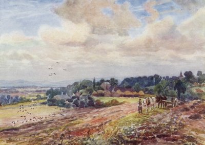 Hungry Grafton - Frederick William Newton Whitehead
