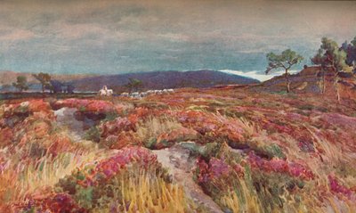 Sur la lande Lytchett Minster - Frederick William Newton Whitehead