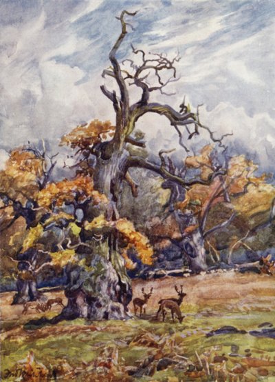 Parc de Packington - Frederick William Newton Whitehead