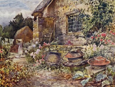 Winderton - Frederick William Newton Whitehead