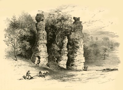 Tours naturelles - Frederick William Quartley