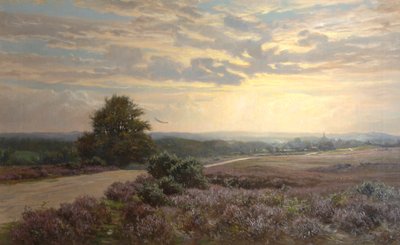 Burley Road - Frederik Golden Short