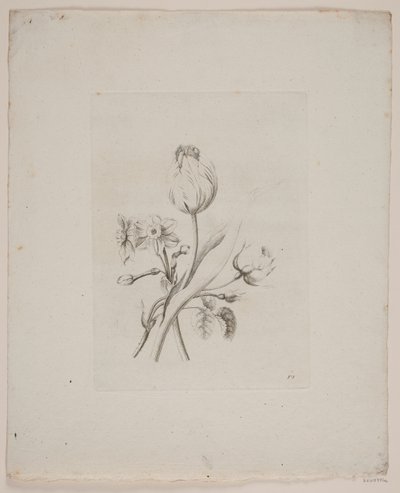 Motif floral - Frederik Schepelern