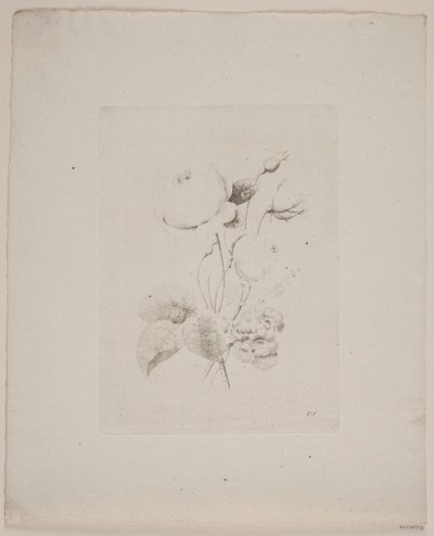 Motif floral - Frederik Schepelern