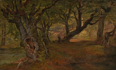 Vue de la forêt de Bregentved, Sjaeeland - Frederik Sødring