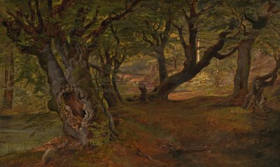 Vue de la forêt de Bregentved, Sjaeeland, milieu des années 1830 - Frederik Sødring