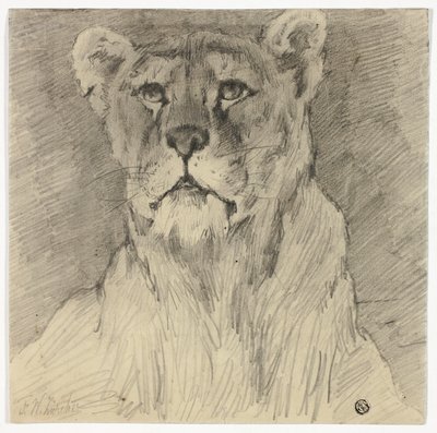 Vue de face de la lionne assise - Frederik William Zurcher