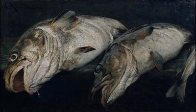 Morue - Fredrik Kolstoe