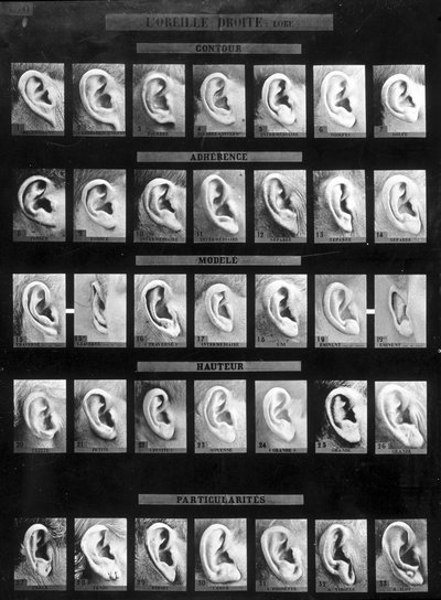 Classification anthropométrique et identification du système Bertillon : comparaison de différents types d