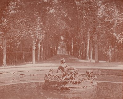 Bassin de Flore, Parc de Versailles - French Photographer