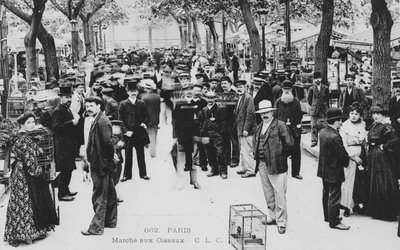 Marché aux oiseaux, Paris - French Photographer