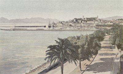 Cannes, Port et Ville ancienne, Boulevard de la Croisette - French Photographer