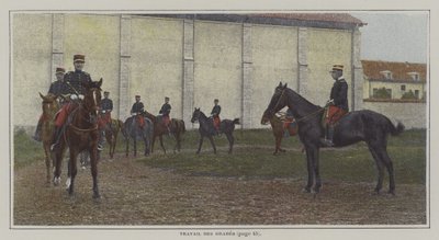 Cavaliers en entraînement - French Photographer