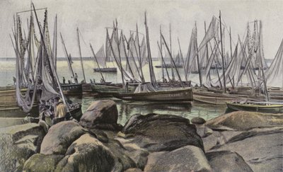 Concarneau, Bateaux de pêche pour la sardine - French Photographer