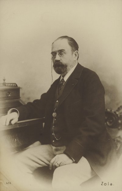 Émile Zola, romancier, dramaturge et journaliste français - French Photographer
