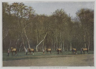 Exercice des chevaux de course à La Croix-Saint-Ouen dans la Forêt de Compiègne, France - French Photographer